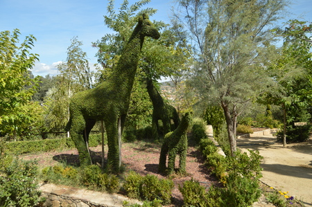 Couple Of Giraffes With Their Baby Recreated In A Fern Sculpture. November 14, 2018. Madrid. Spain. Nature, Travel, Landscapes, Topiary Art.のeditorial素材