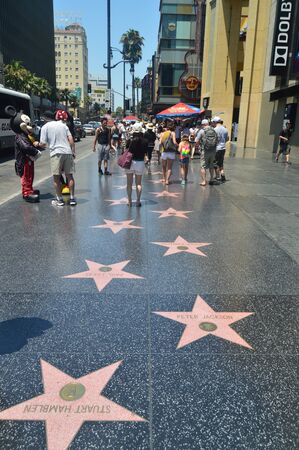 Celebrity Stars On Walk Of Fame In Hollywood Boluvedard. July 7, 2017. Hollywood Los Angeles California. USA. EEUUのeditorial素材