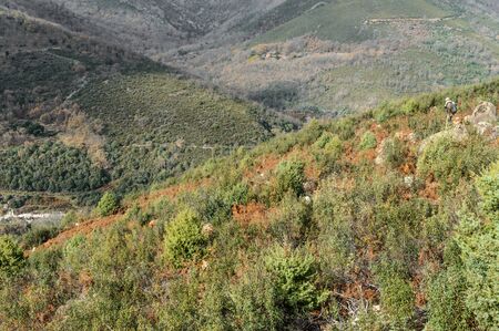 Shepherd Caring Iberian Goats Grazing Among The Fields Of Grass Of Valley In The Freillo.の写真素材