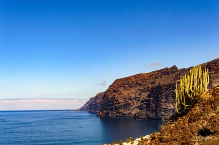 Magnificent Views of the Cliff of the Giants with a Cactus in the Composition from the Achipenque...