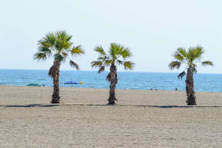 Three Palms oasis on the beach of Roquetas de Mar. August 14, 2019. Roquetas de Mar Almeria. Spain. Travel Tourism Holidaysのeditorial素材