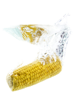 corn on white background falling and splashing water, giving a unique feeling of freshness and vitalityの写真素材
