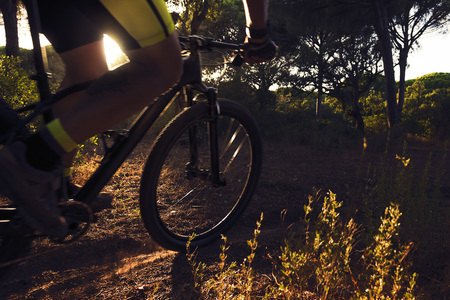 Backlit cyclist rides at full speed on a mountain bike at sunset on a sand road of a pine forest. motion blur, dark moodの写真素材