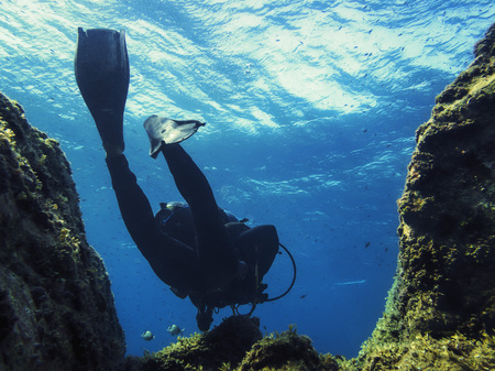 shot from bottom to top of the silhouette of a diver passing between two underwater rocks covered in...