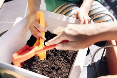 hands of a child and her mother in the balcony preparing gardening sand in pots for planting seeds,...