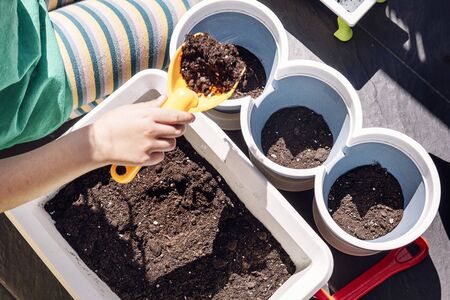 top view of the hand of a child putting soil in the pots with a shovel, hobbies at home, sustainable and ecological lifestyle conceptの写真素材