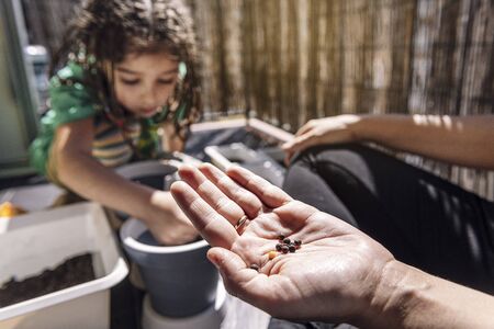 hand with seeds, in the background his daughter is out of focus planting the seeds it in flower...