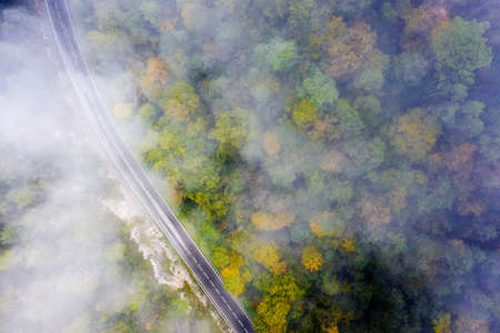 curved country road in the colored autumn forest with fog, aerial top view, concept of emission reduction and ecologyの写真素材