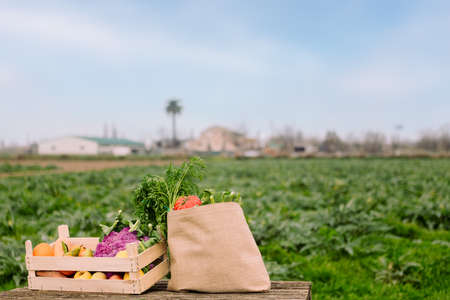 wooden box and burlap bag filled with vegetables and fruits in a crop field on a farm, healthy eating and organic agriculture concept, copy space for textの写真素材