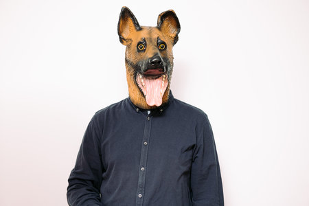 costumed man with a dog mask on a white backgroundの写真素材