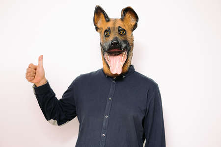 person with a dog mask holding up the thumb of one hand as a sign of approval on white background, concept of success and supportの写真素材