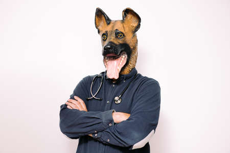 person with a dog mask and a stethoscope on the neck poses with arms crossed on white background, concept of a trusted veterinarian for your petの写真素材