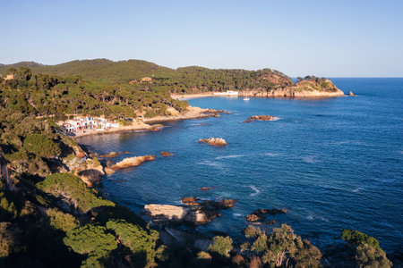 aerial view of a beautiful rocky coastline with pine forests reaching to the sea, concept of nature and seafaring lifestyleの写真素材