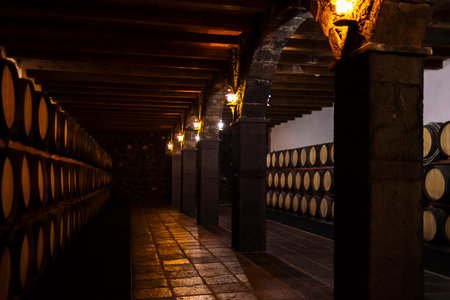 aged wine cellar with wooden barrels on shelvesの写真素材