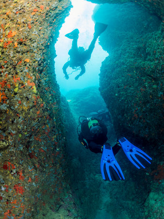diving between the walls of underwater canyonの写真素材