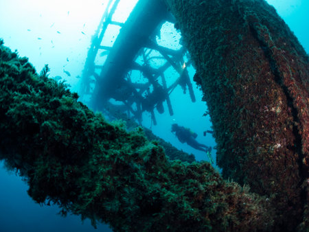 diving through the structure of a wreck in the sea