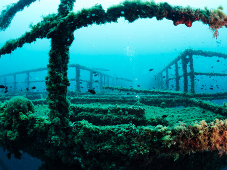 wreck of a structure submerged in the seaの写真素材