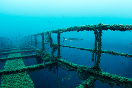 wreck of a structure submerged in the seaの写真素材