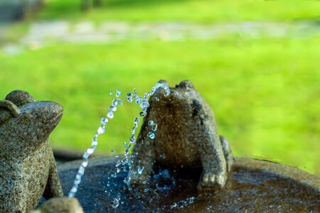 horizontal urban photography, of a fountain with three granite frogs in which two play with the water while the plant watches them as the drops of waterの写真素材