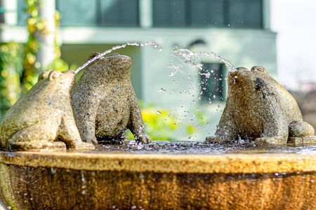 horizontal urban photography, of a fountain with three granite frogs in which two play with the water while the plant watches them as the drops of waterの写真素材