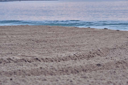 photography of the beach, where the lines of the sand direct us directly to a calm sea with a single...