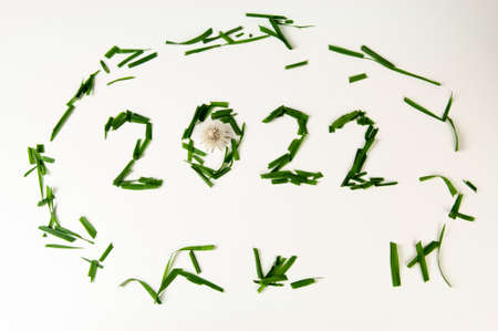 2022 new year's day made of green grass. Isolated on white background. Ecology conceptの写真素材