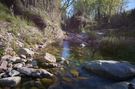 Quiet river on a bright spring morning. Colors of nature