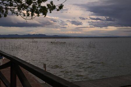 Landscape of a lake with storm clouds, moving waters reeds in the water, bluish tones