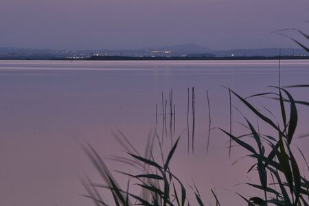 Sunset on the big lake, from the reeds, green, golden colors, calm waters, reflections, long expositionの写真素材