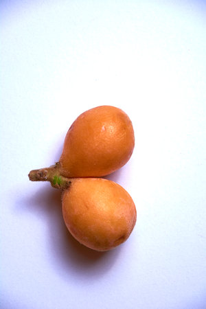 Two medlars together on white table, orange, white, natural, ecological, without retouching