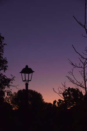 Street light, off at sunset, nature, magenta colorsの写真素材