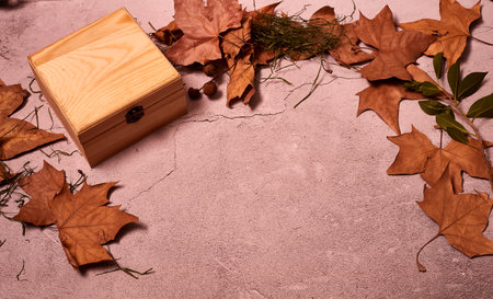 Wooden box on stone floor and autumn leaves, closed box, front view,の写真素材