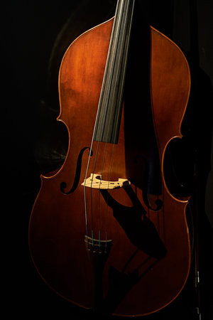 Close-up of a cello, against a black background