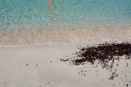 Turquoise water beach shore. Mediterrean sea, Balearicの写真素材