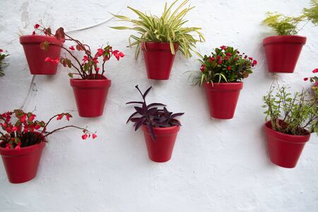 red vases of flowers on a white wallの写真素材
