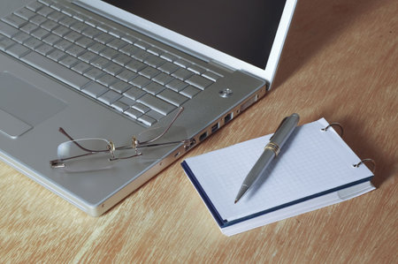 Office table with laptop, grasses and pen.