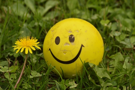 happinessの写真素材