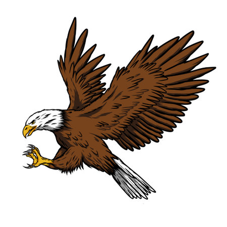eagle in flight, falcon, animal, bird, hunterのイラスト素材