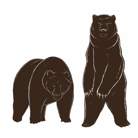 A drawing of two bears standing next to each otherのイラスト素材