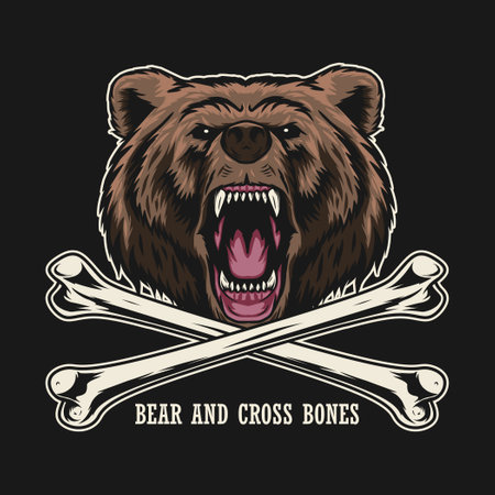 bear and cross bones illustrationのイラスト素材