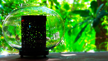 Devotional Lord Budhha Glass Bowlの写真素材