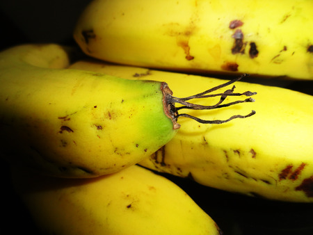 Banana Fruit Macro Photographyの写真素材