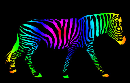 Colorful Zebra Drawing, Vector Illustration, Black Backgroundの写真素材