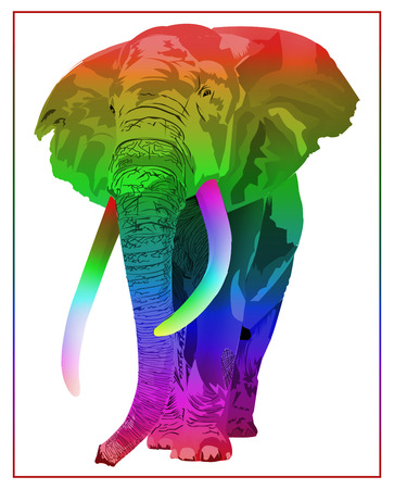 African Elephant Illustration Isolated on White Backgroundの写真素材