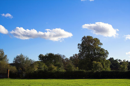 Park Playing Field