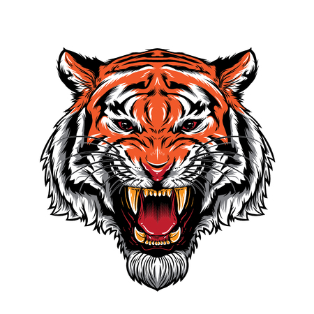 Angry Tiger Faceのイラスト素材