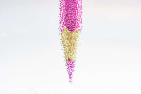 Pink crayon in water.の写真素材