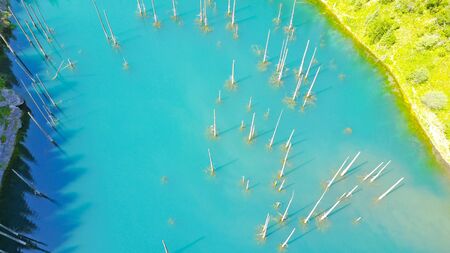 Mountain lake with blue water. Trunks of fir trees are in a mountain lake. Drone footage, top view. Coniferous trees. Kazakhstan, Almaty, Kaindy lake.の写真素材
