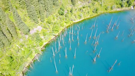 Mountain lake with blue water. Trunks of fir trees are in a mountain lake. Drone footage, top view. Coniferous trees. Kazakhstan, Almaty, Kaindy lake.の写真素材