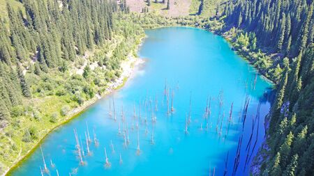 Mountain lake with blue water. Trunks of fir trees are in a mountain lake. Drone footage, top view. Coniferous trees. Kazakhstan, Almaty, Kaindy lake.の写真素材